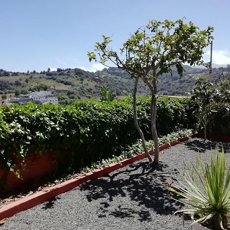 Lemmon Tree Apartment