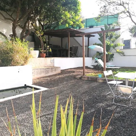 Apartment Lemmon Tree
