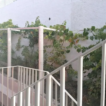 Lemmon Tree * Santa Brígida