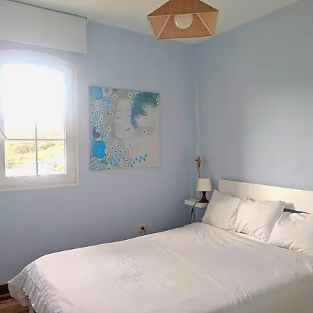 Lemmon Tree Santa Brígida