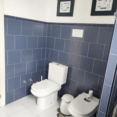 Lemmon Tree * Santa Brígida