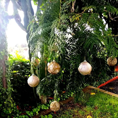 Lemmon Tree アパート