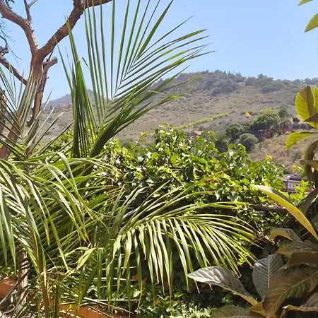 Lemmon Tree Appartamento *