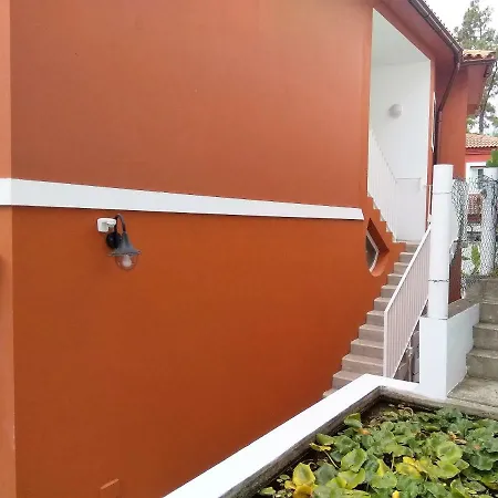 Lemmon Tree Apartamento *