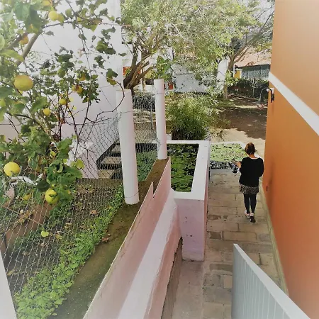 Lemmon Tree * Santa Brígida