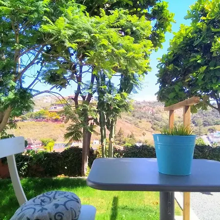 Lemmon Tree *