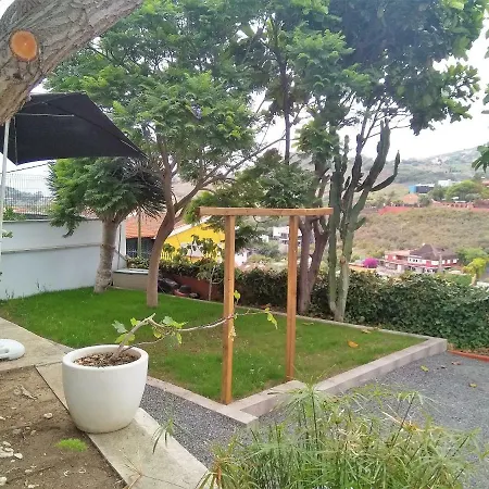 Lemmon Tree Apartment *