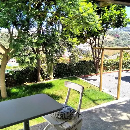 Lemmon Tree * Santa Brígida