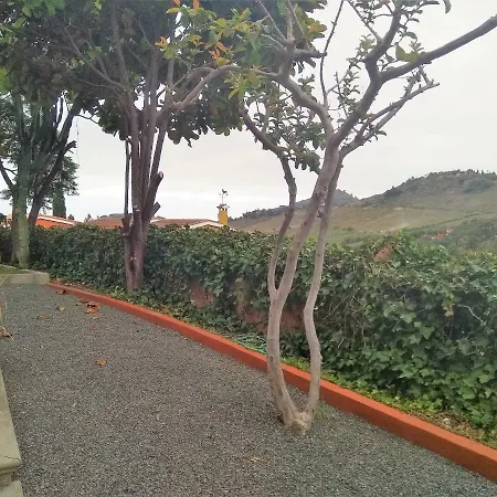 Apartment Lemmon Tree Santa Brigida (Gran Canaria)