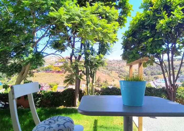 Lemmon Tree *