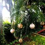 Lemmon Tree 아파트