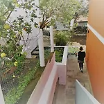 Lemmon Tree * 산타 비르지타