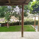 Lemmon Tree * 산타 비르지타