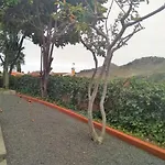 아파트 Lemmon Tree 산타 비르지타